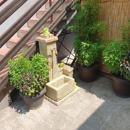 Apartman Djokic 2 Požarevac 외부 사진