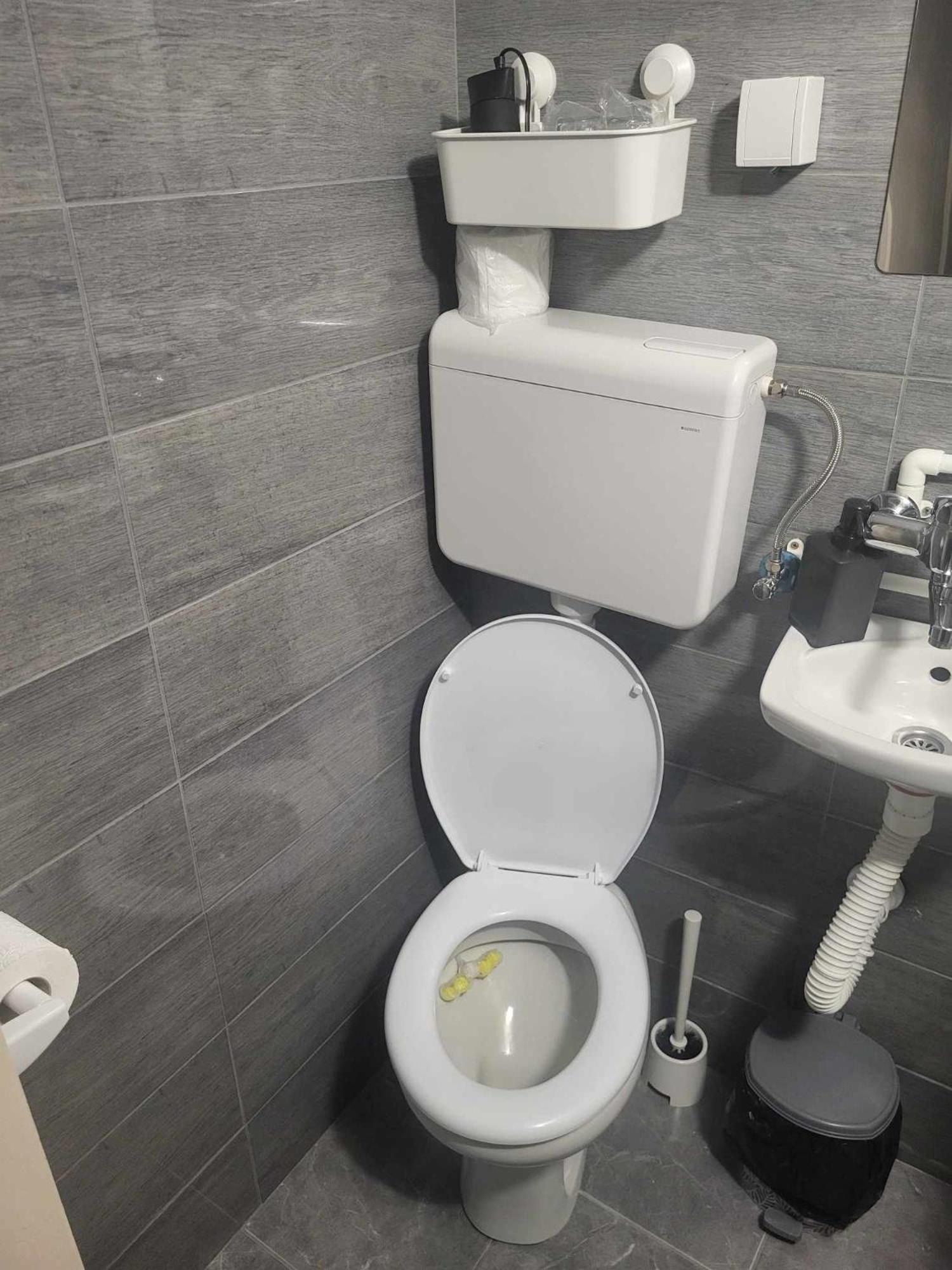 Apartman Djokic 2 Požarevac 외부 사진