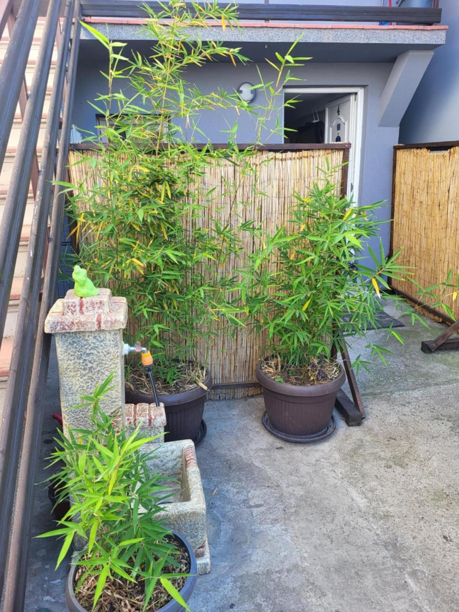 Apartman Djokic 2 Požarevac 외부 사진